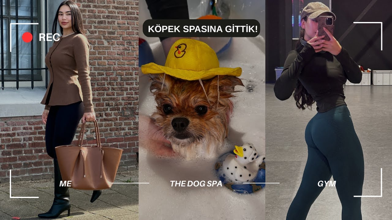 Hollanda'da Günlük Hayat | Dövme, Spor, Alışveriş & Köpek Spası 🐾✨