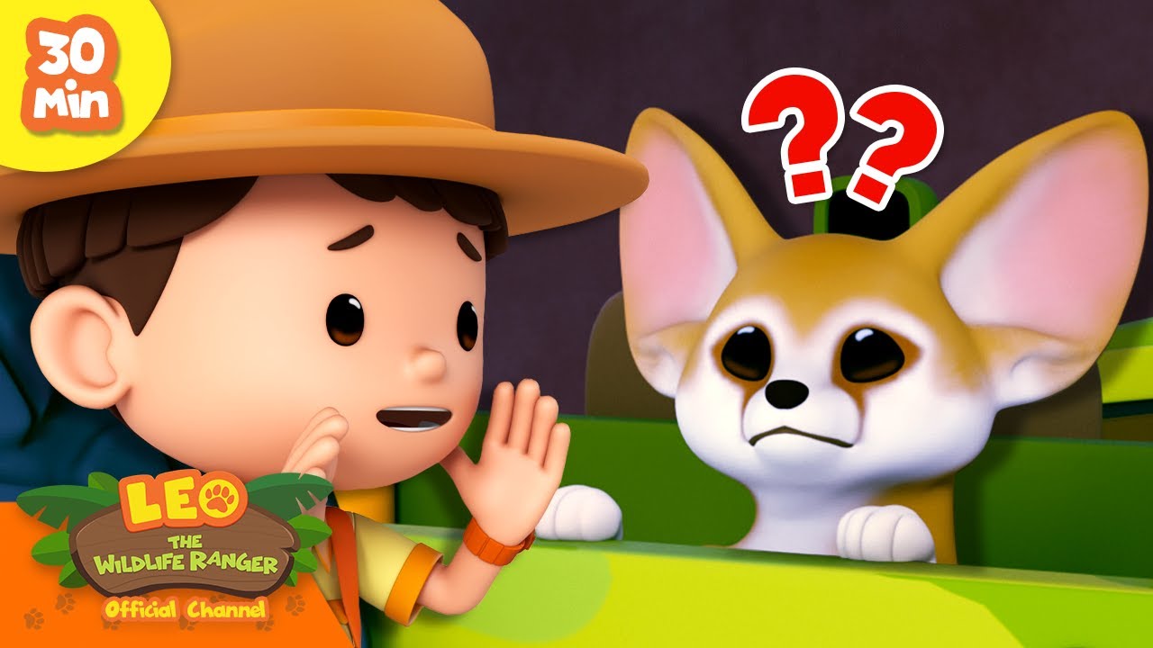 Adorable Fennec Fox! 🦊 | Cute Hunters | Leo the Wildlife Ranger | Kids Cartoon