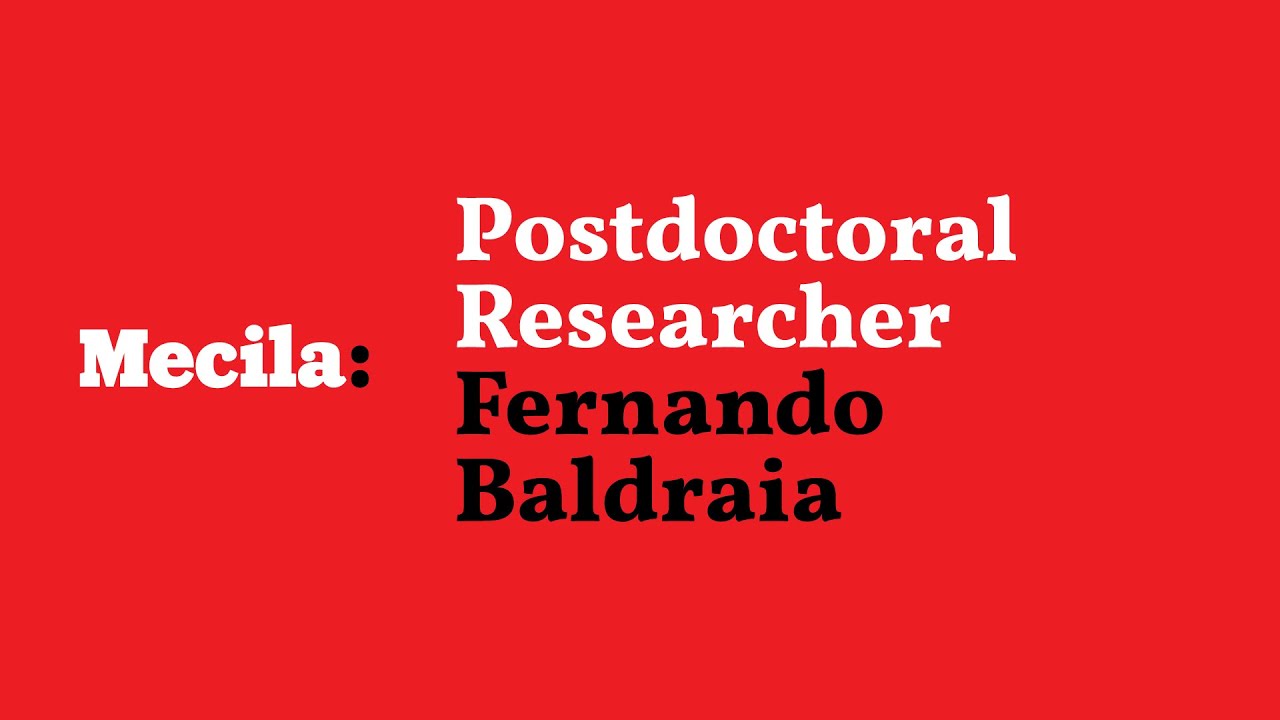 Fernando Baldraia &bull; Presenting Mecila Postdoctoral Researchers