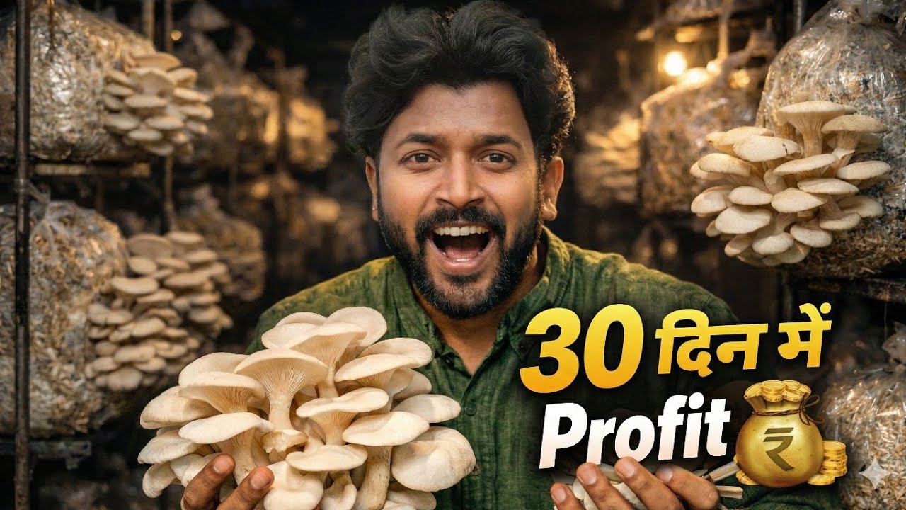Oyster Mushroom Farming A to Z 🔥 | 30 Din Me Kamai 💰 | Complete Beginner Guide