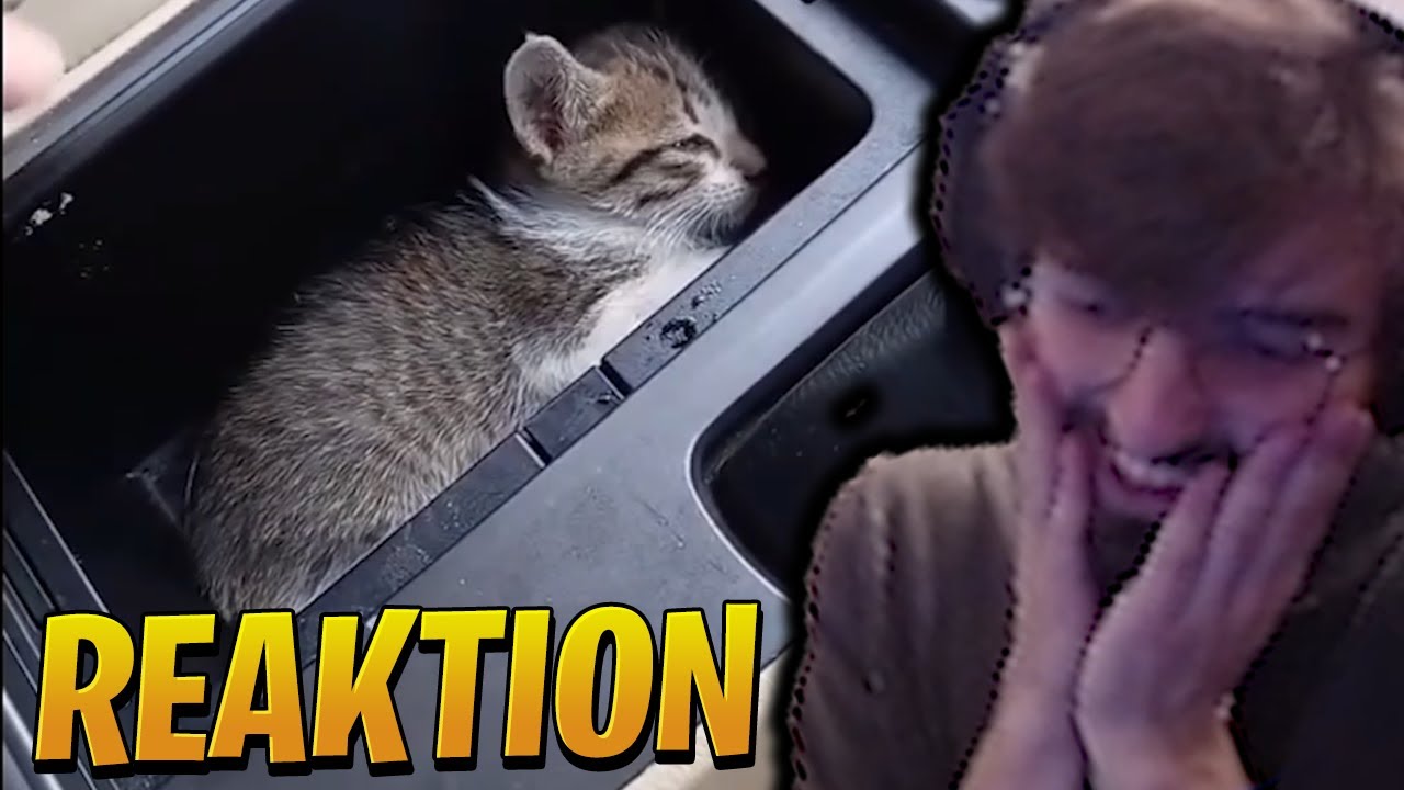 RUMATHRA REAGIERT AUF DAILY DOSE OF INTERNET 🤣😛 Rumathra Reaktion
