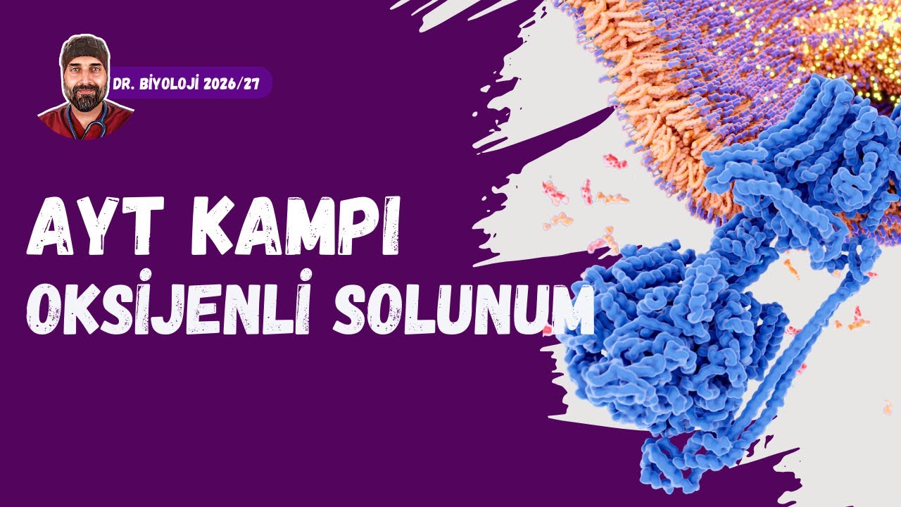 Oksijenli Solunum | Dr. Biyoloji | AYT Dönem 2026 - 2027