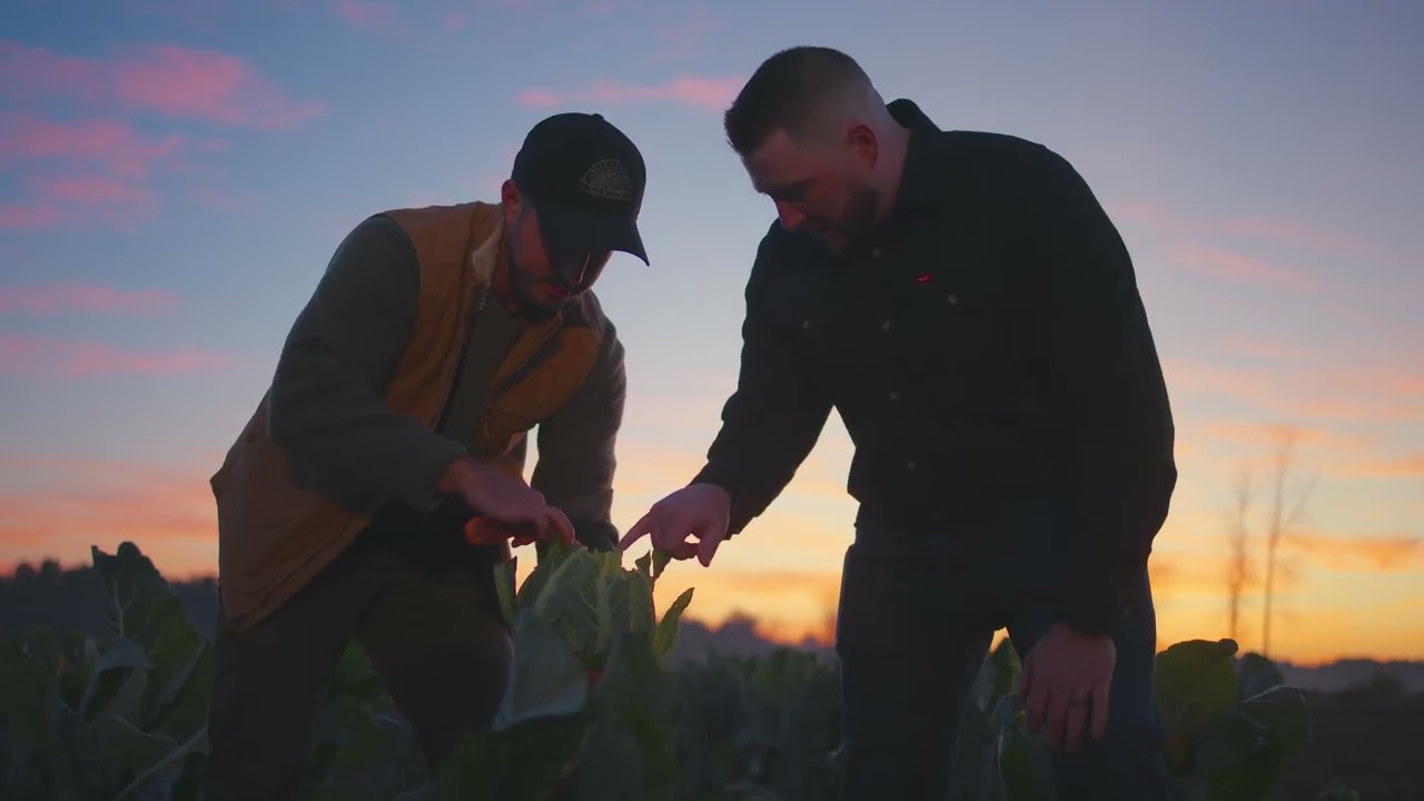 From field to fork