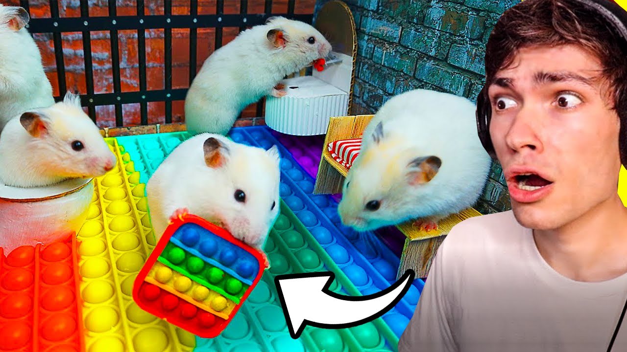 LE PLUS GRAND LABYRINTHE POUR HAMSTER DU MONDE ! (je veux un hamster)