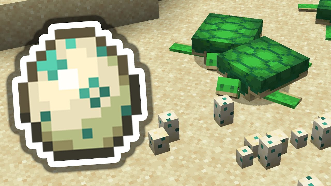 Schildkr&ouml;teneier bekommen! (Tutorial) ✨Minecraft 1.21 ✨ ErikOnHisPeriod