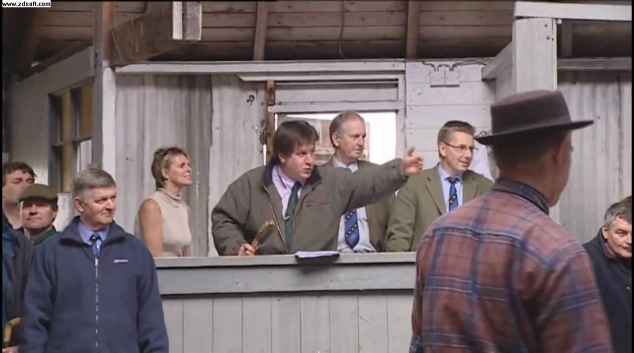 The Last Sheep Sale