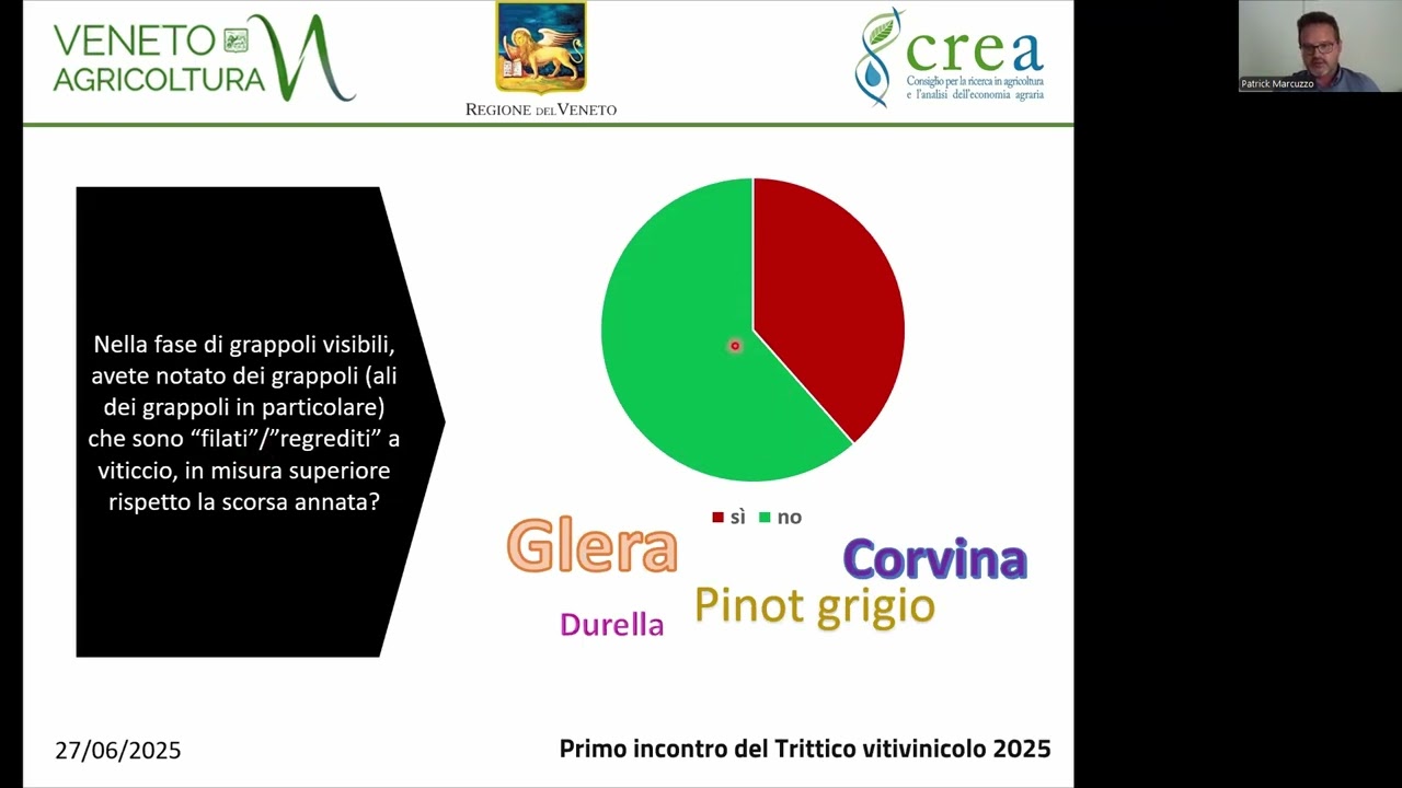Primo incontro Trittico Vitivinicolo 2025 – Intervento di Patrick Marcuzzo (CREA)