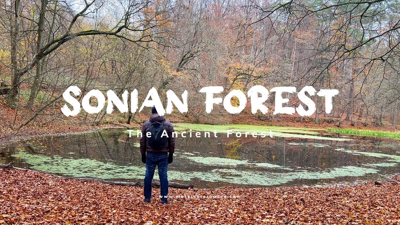 Vlog #8: Sonian Forest - The Ancient Forest - Pinoy Abroad | Travel Video HD | Mark A. Basco