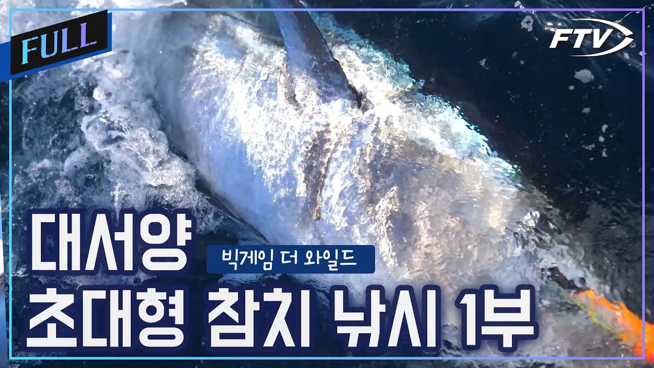 [Full]초대형 참치의 성지, 포르투갈 대물 참치 원정낚시[빅게임더와일드/79회]