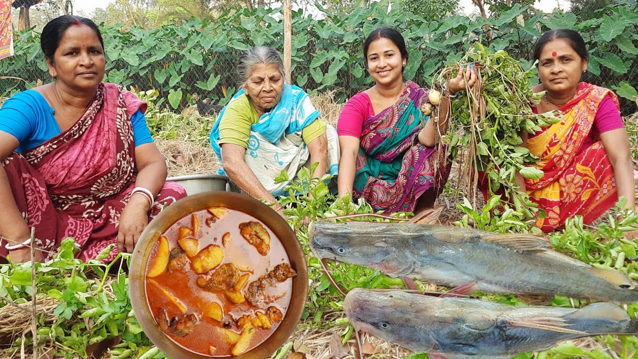 সুন্দরবনের বিদ্যাধরী নদী থেকে ধরা শোন টেংরা রান্না করলাম| মা আসলো| সবাই মিলে মাঠের থেকে আলু তুললাম