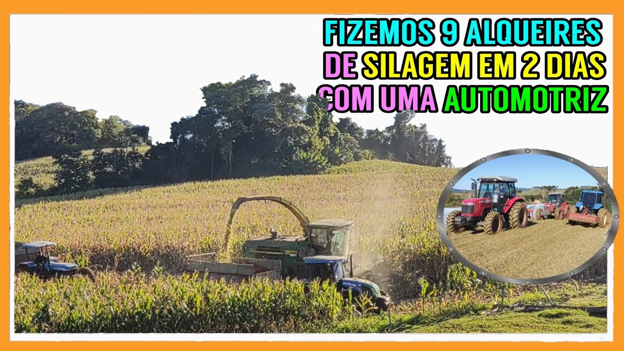 Fazendo SILAGEM antes da geada (Milho podre da chuva) com automotriz JOHN DEERE