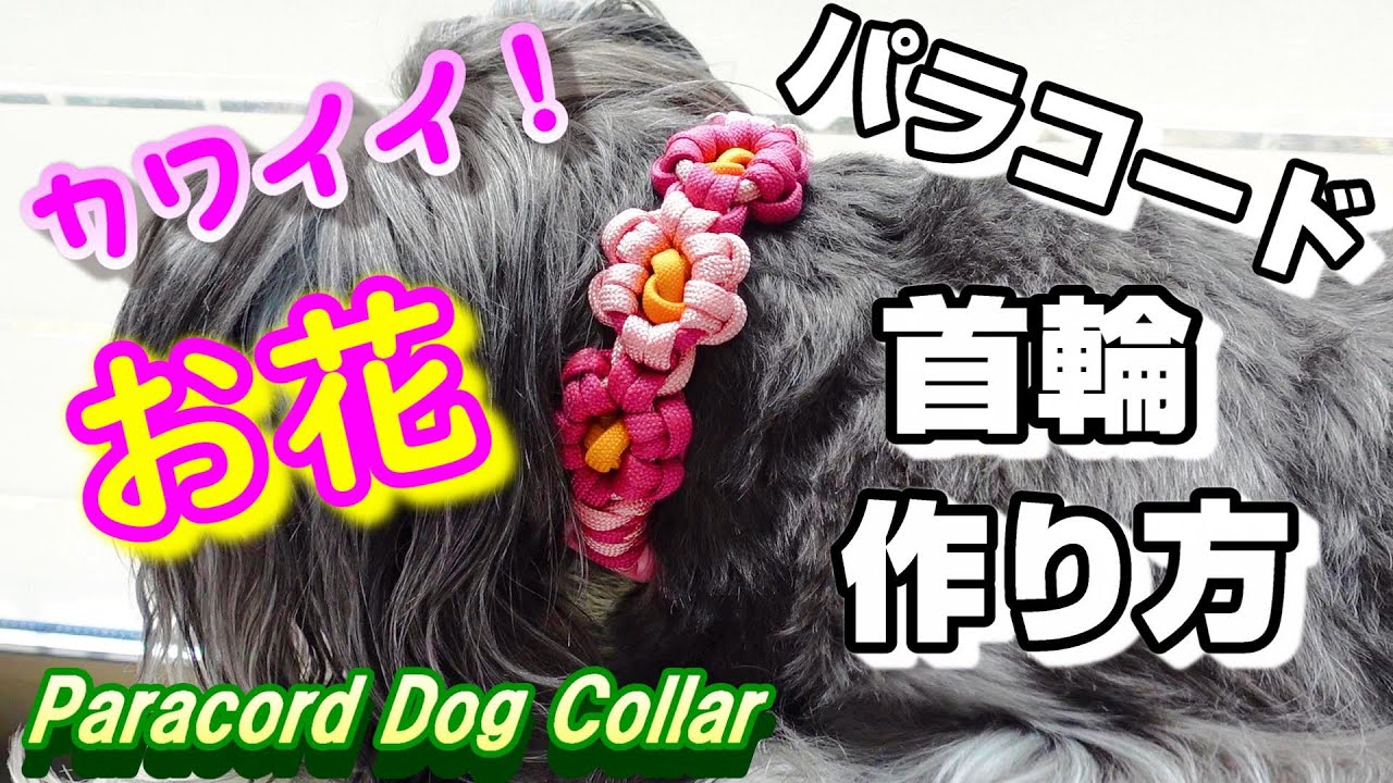 [ペット用品] パラコードお花の首輪の作り方 [paracord][dog collar][DIY][手作り]
