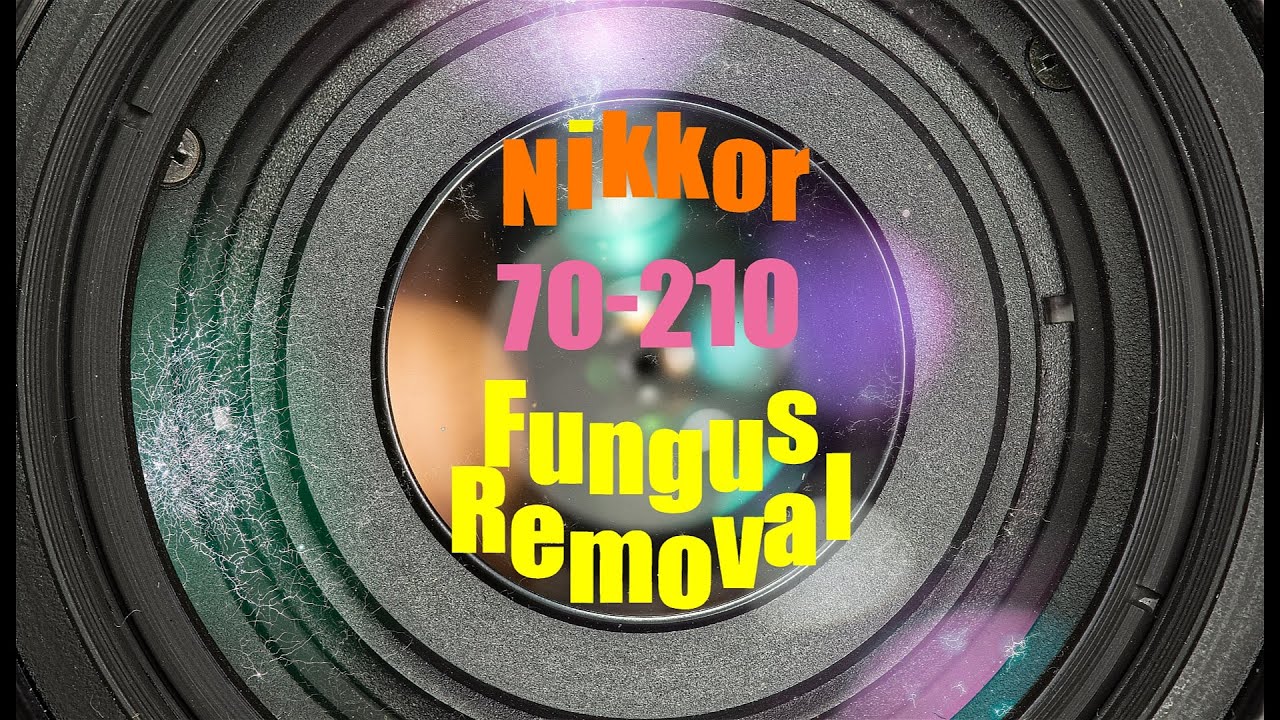 Lens repair :  Nikon 70-210mm : fungus cleaning