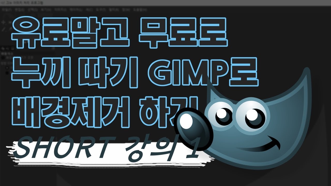 어도비 프로그램 대신 무료 프로그램 김프로 누끼 따기? 파이썬이 알아서 배경을 제거해 줍니다!