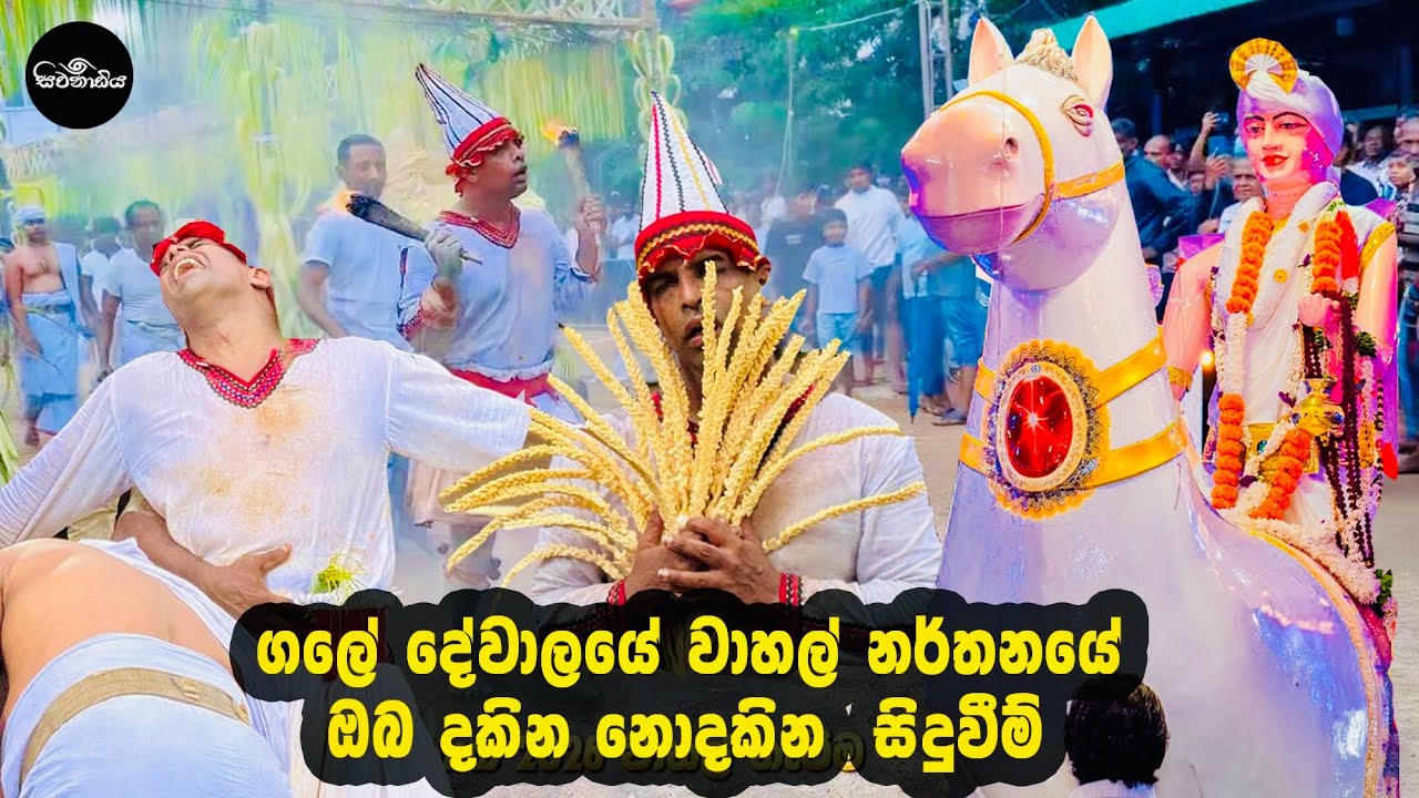 ගලේ දේවාලයේ මංගල්ලයේ වාහල් නර්තනයේ ඔබ නොදකින ත්‍රාසජනක සිදු වීම් | 2026 Gale Dewalaya Mangallaya