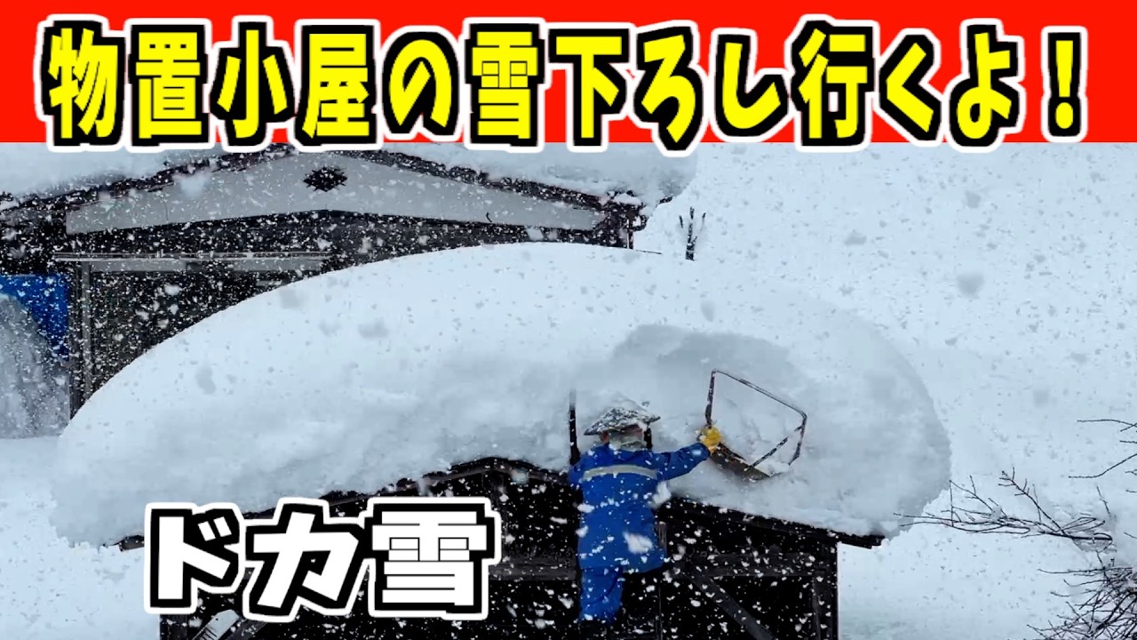 2024-12-28（土）ドカ雪・大雪で胸の辺りまで積もった今季初屋根の雪下ろし！武七の除雪・雪かき日記　snow removal