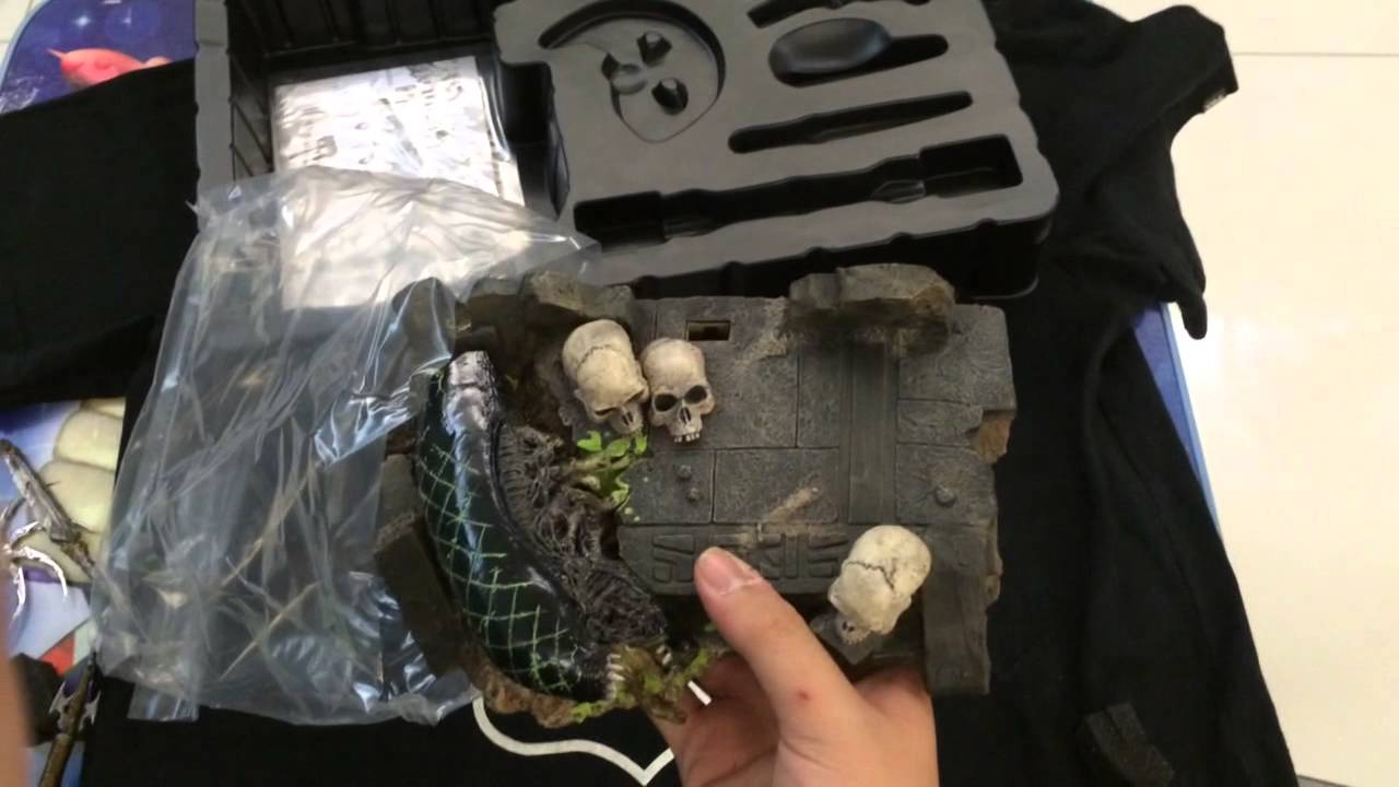 Hottoys Celtic predator