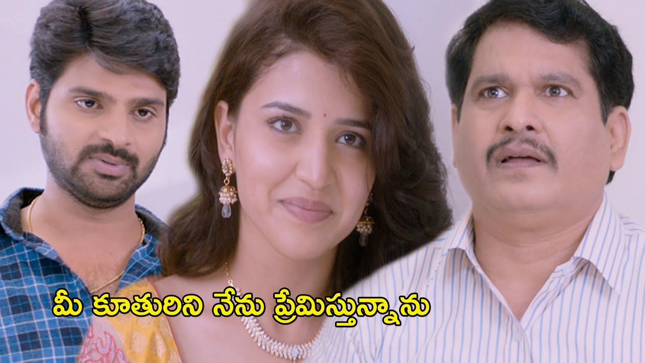 మీ కూతురిని నేను ప్రేమిస్తున్నాను | Maa Abbayi Full Movie Scenes | Sree Vishnu | Chitra Shukla