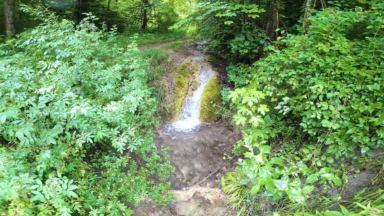 26 Minutes of Flowing Stream • 4K Nature Sounds for Relaxation & Focus