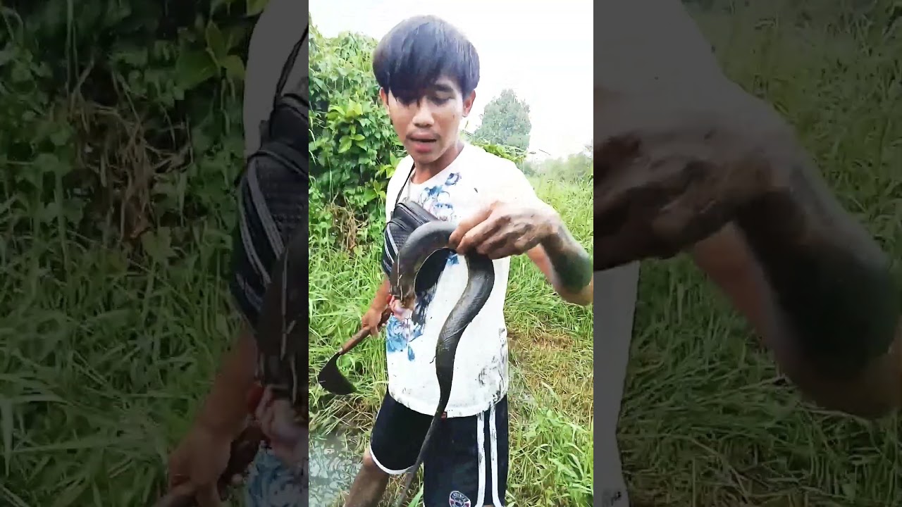 😱😱Mancing Belut Malah Dapet Ular. #vidioshorts #shortsviral #mancing #fhising #mancingmania #Belot