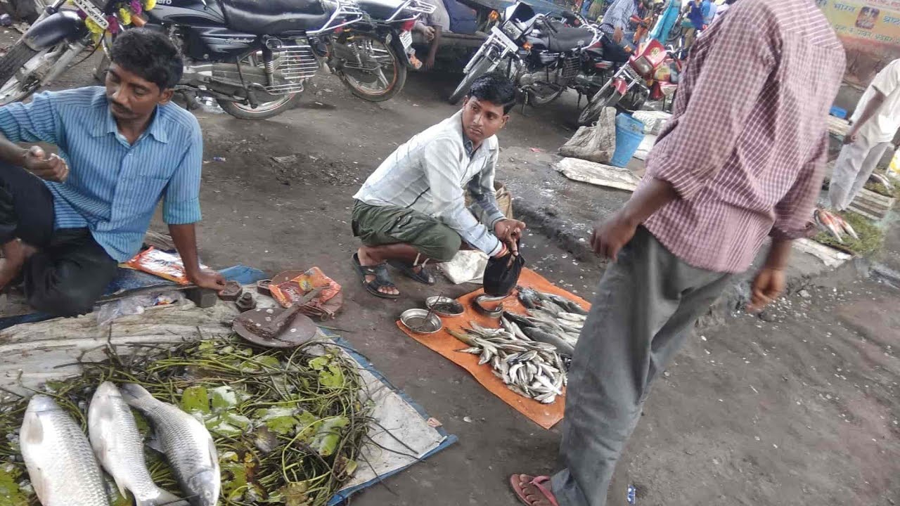 क्या फुसरो मार्केट ऐसा दिखता है / meghdoot market phusro