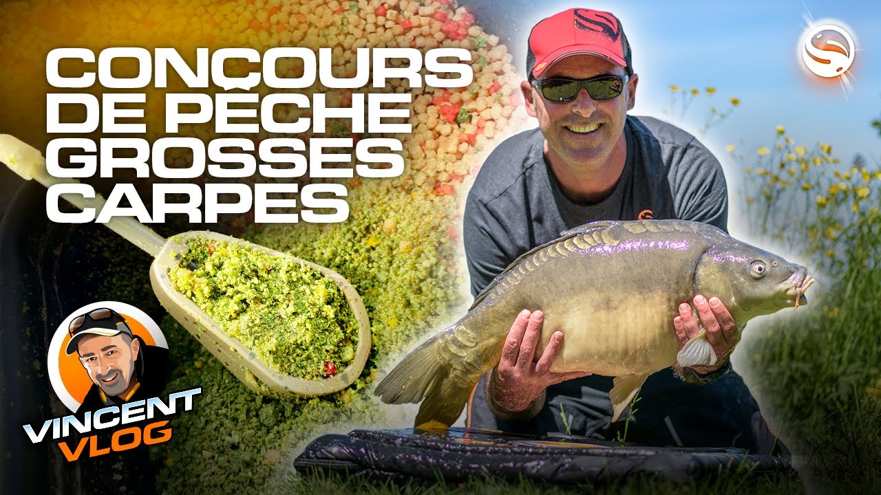 Concours de pêche grosses carpes au method feeder - Vincent VLOG #18