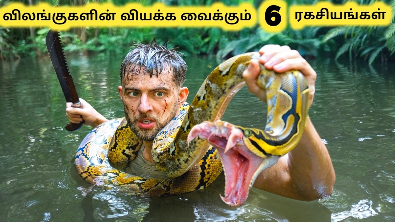 விலங்குகளின் ரகசியங்கள் || The Most Surprising Animal Facts Ever || Tamil Info Share
