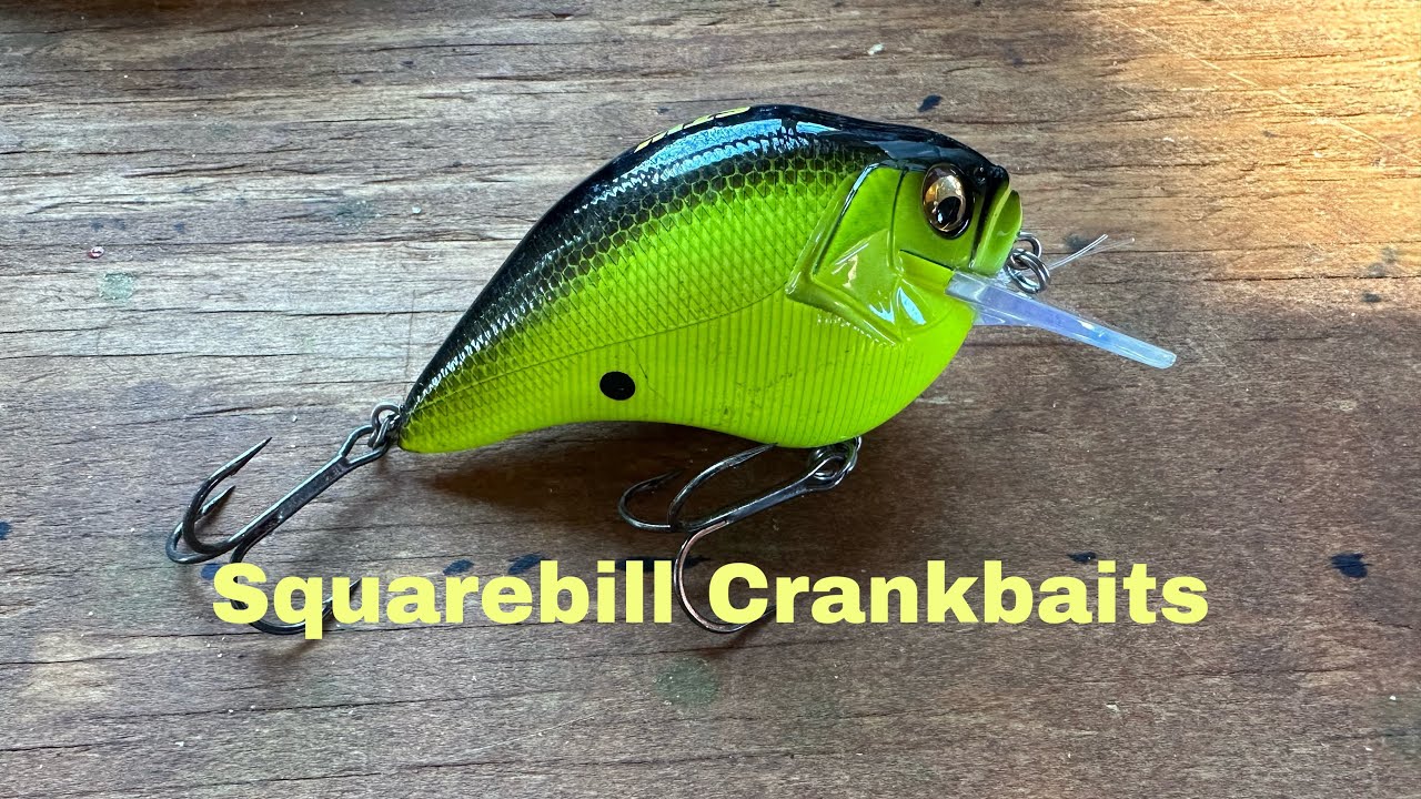 How And When To Fish A Squarebill Crankbait