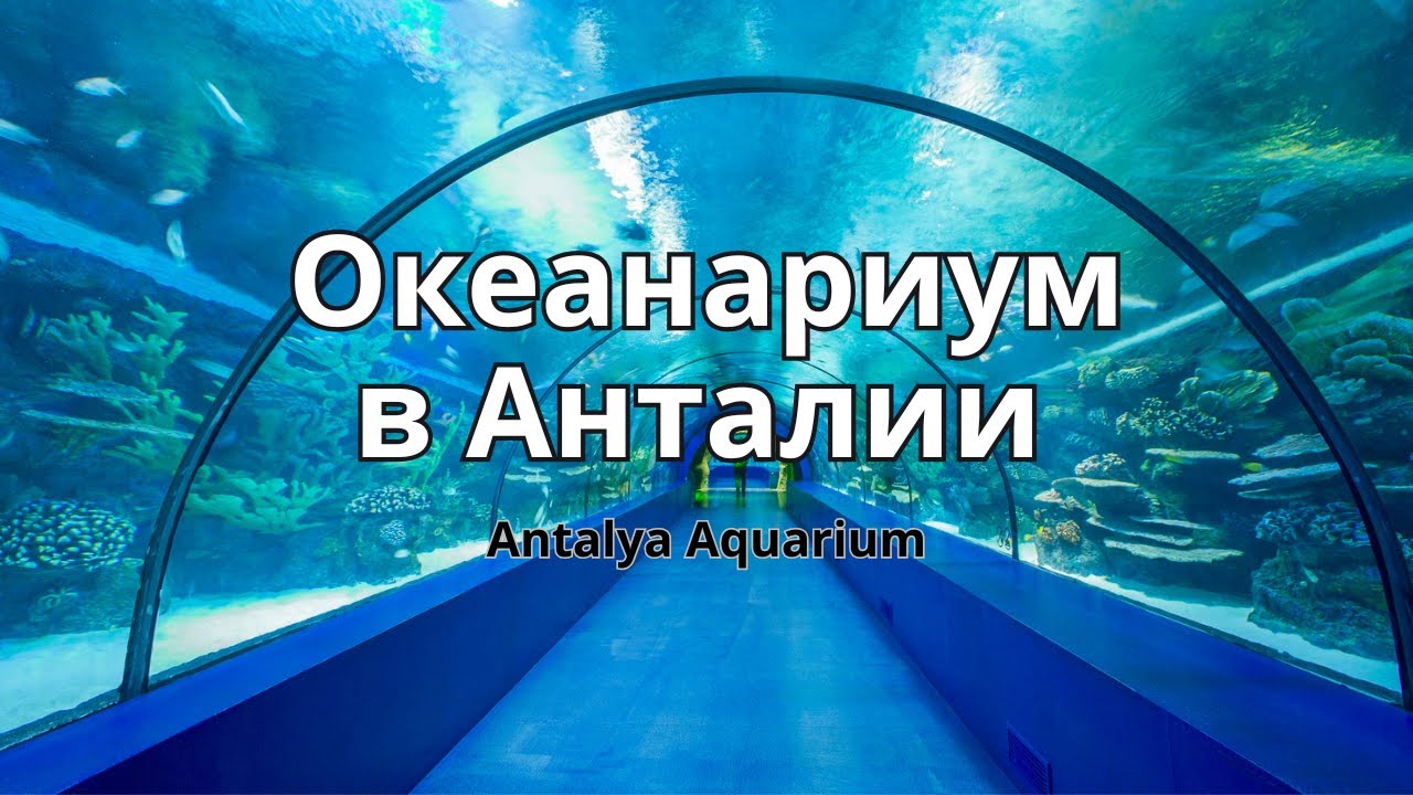 Океанариум Анталии. Самый большой туннельный аквариум. Анталия Турция #vlog
