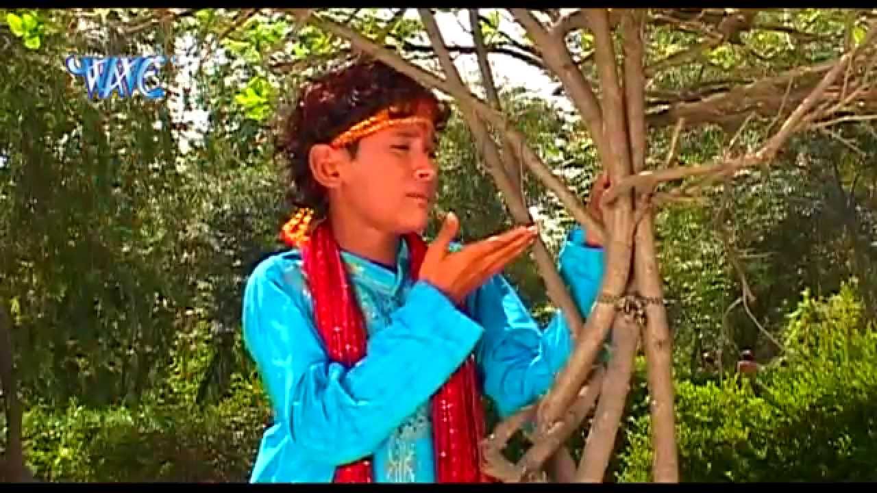रोवेली सातो रे बहिनिया - Aashirwad Mai Ke | Shani Kumar Shaniya | Bhojpuri Mata Bhajan