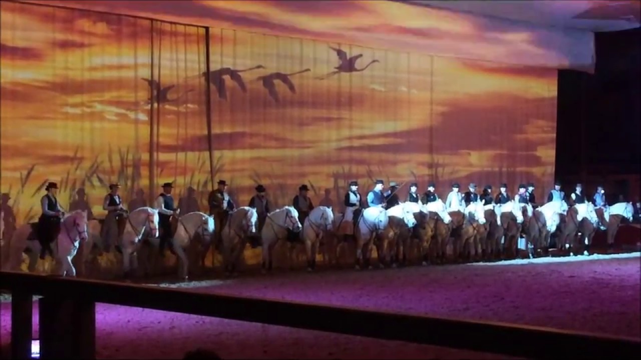Cheval Passion 2017 , les Crinieres d' Or,les chevaux Camargue .