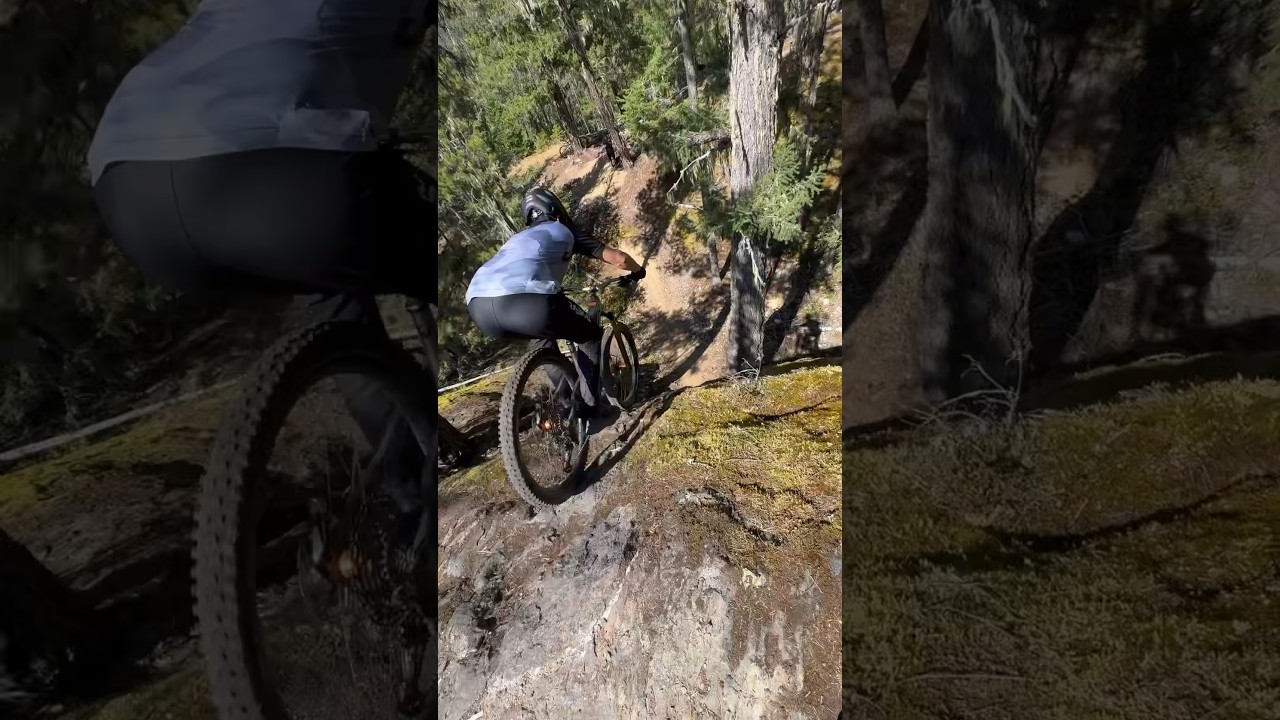 Proline 🚲 #mtb #downhillmtb #downhillmountainbike #mtbdownhill #enduromtb #mtblife #mtblove