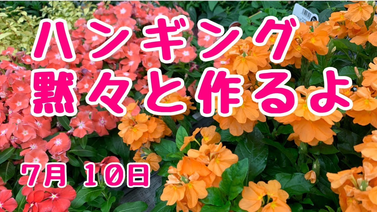 オアシスパーク様のハンギングバスケット黙々と作るよ