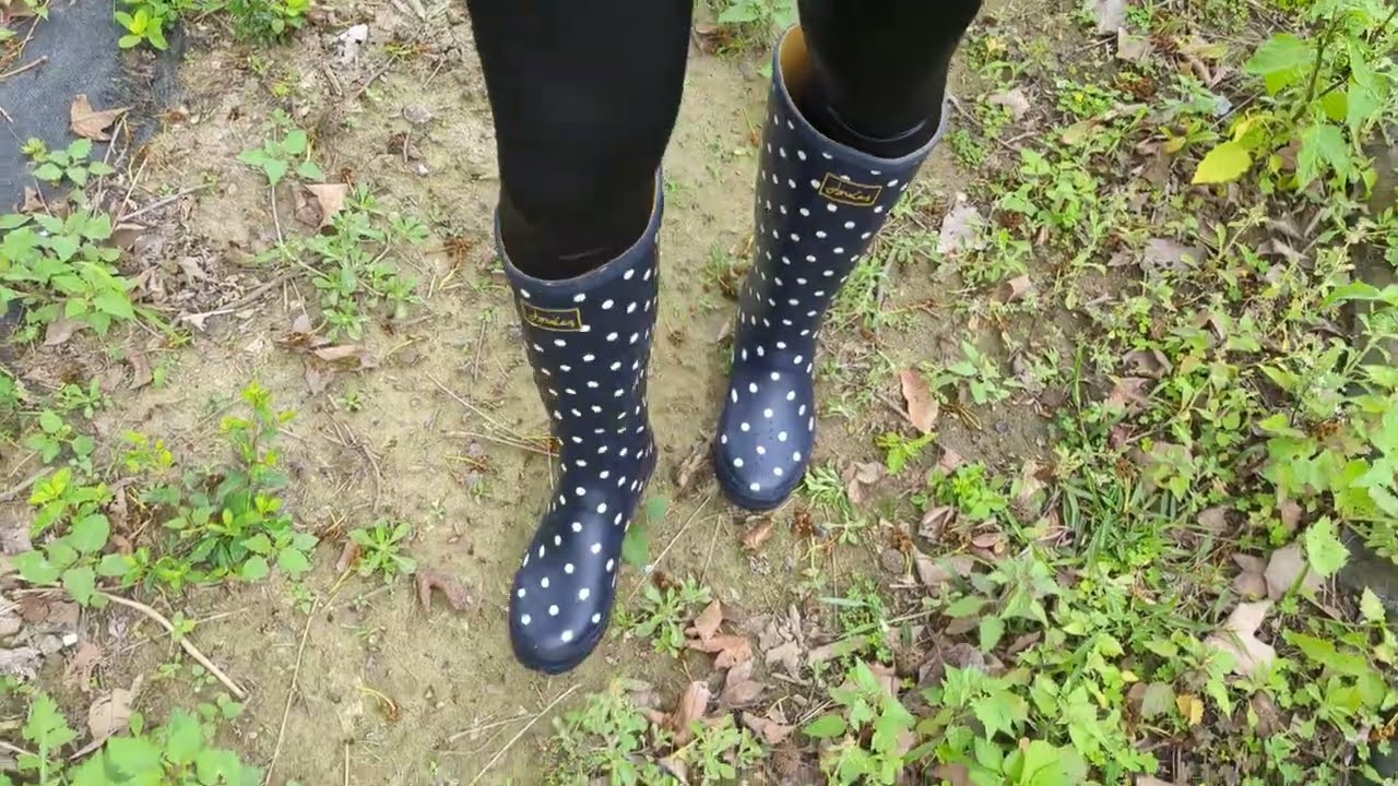 Navy Spot Joules wellies_4