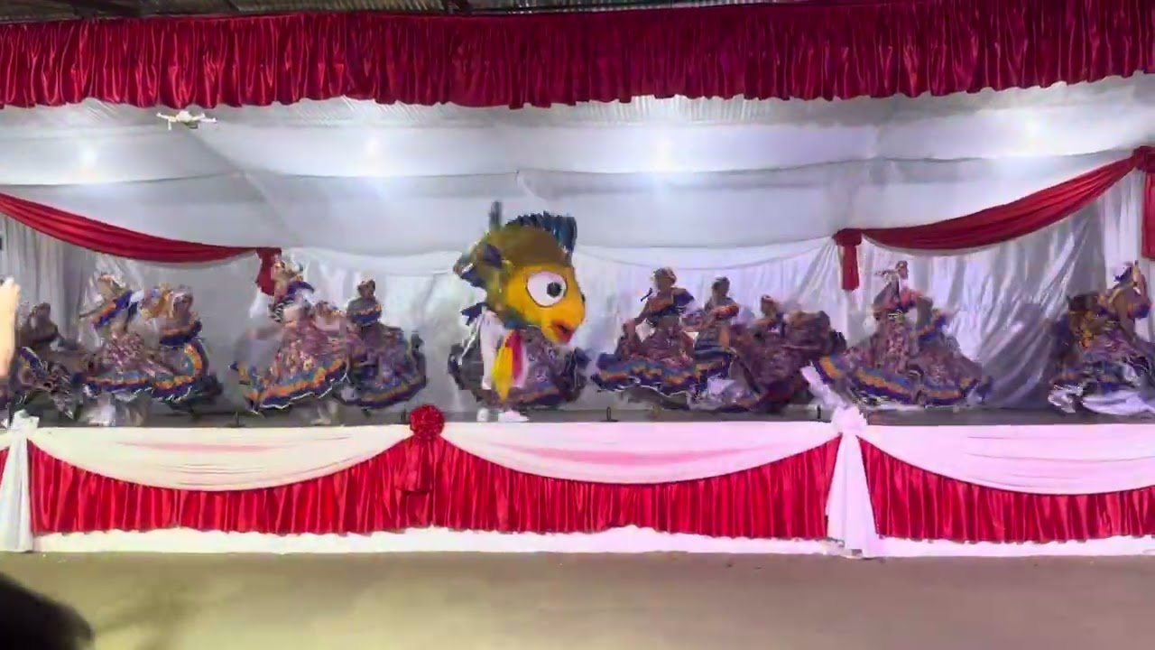 Danzas Roraima ( Parranda )