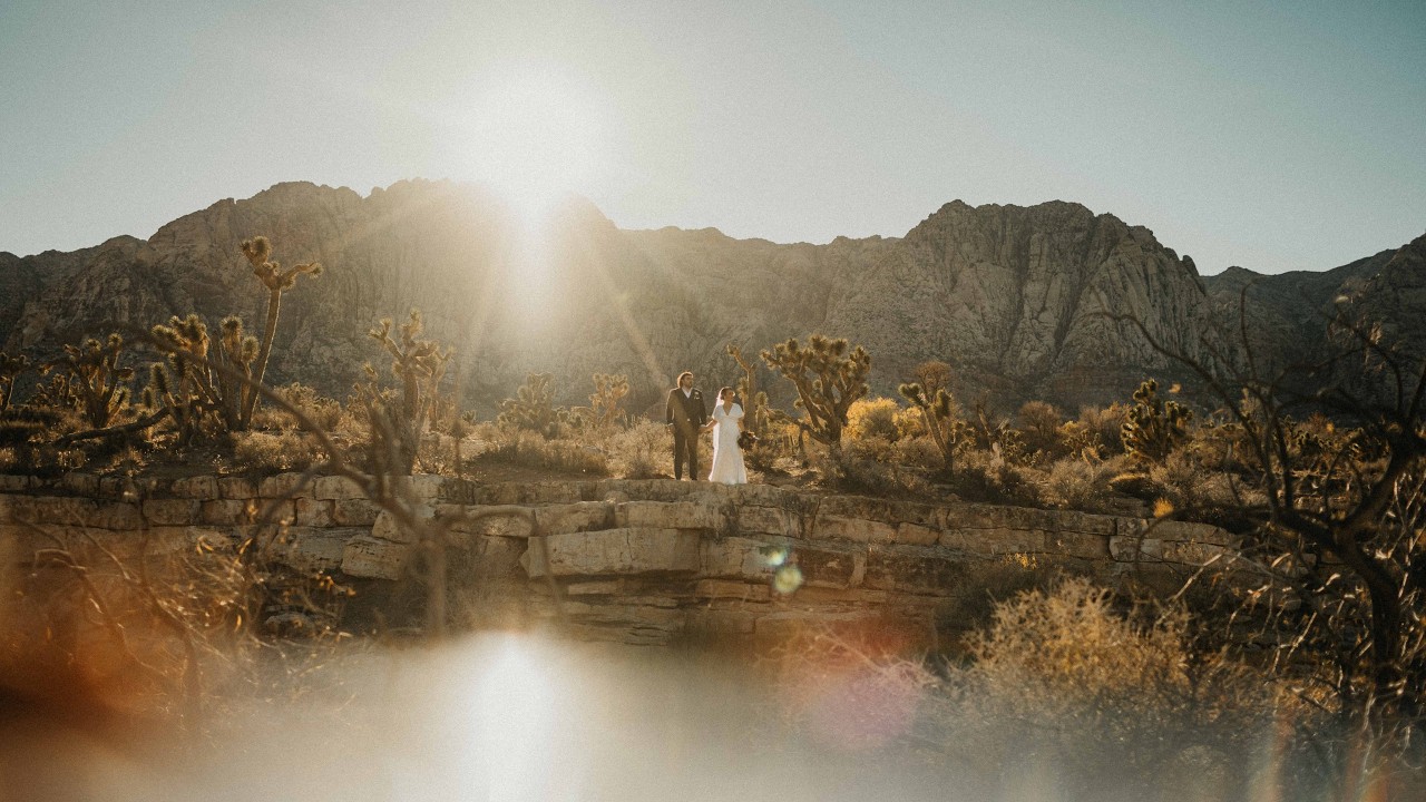 Las Vegas Desert Wedding with Neon Vibes in the City