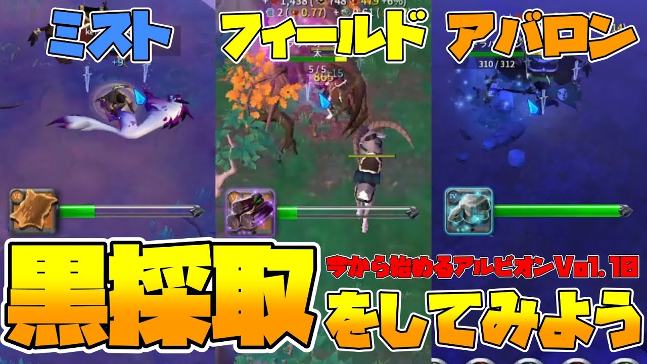 【Albion】黒ゾーン採取攻略ガイド！各マップの特徴など徹底解説！君もギャザラーにならないか？今から始めるアルビオンVol.10【アルビオンオンライン】【VOICEVOX:四国めたん】