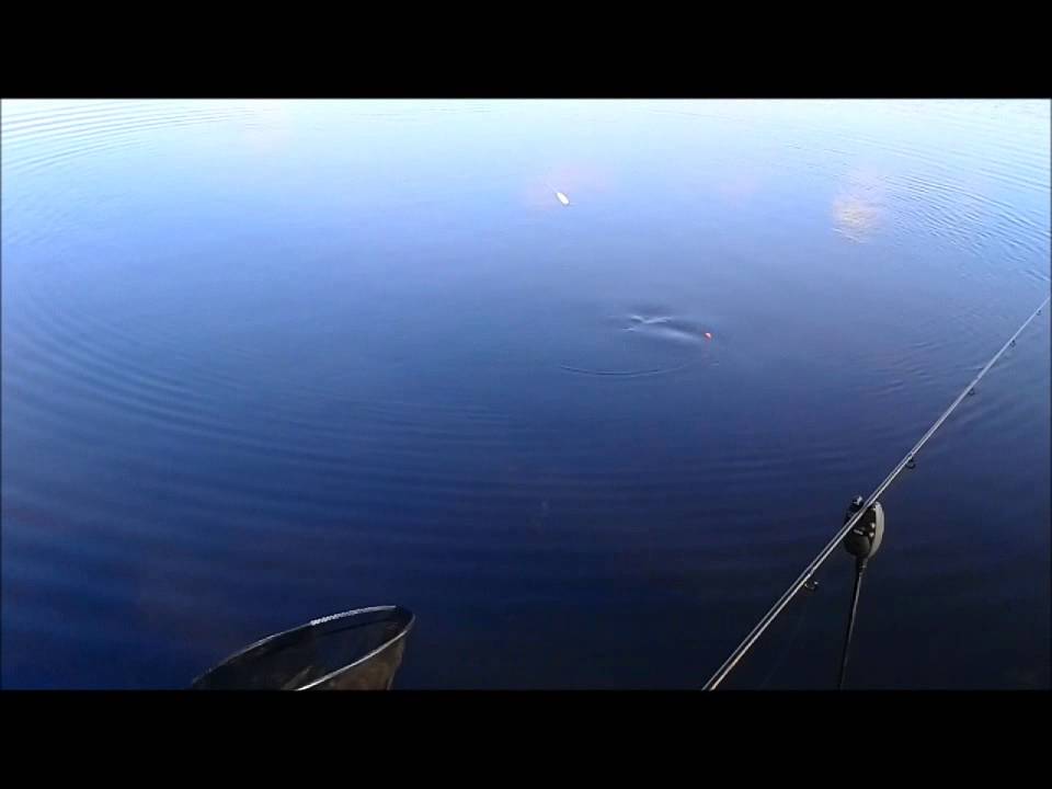 Fangwas live Drill am Trelleborgsee,Wahnsinn, Winter und die Forellen bei&szlig;en oben.