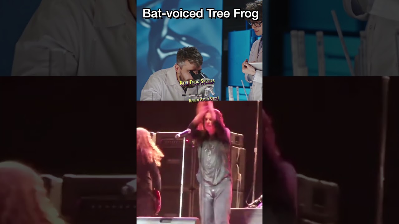 Ozzy Osbourne&rsquo;s Bat-Voiced Tree Frog RIP OZZY 7/22/25