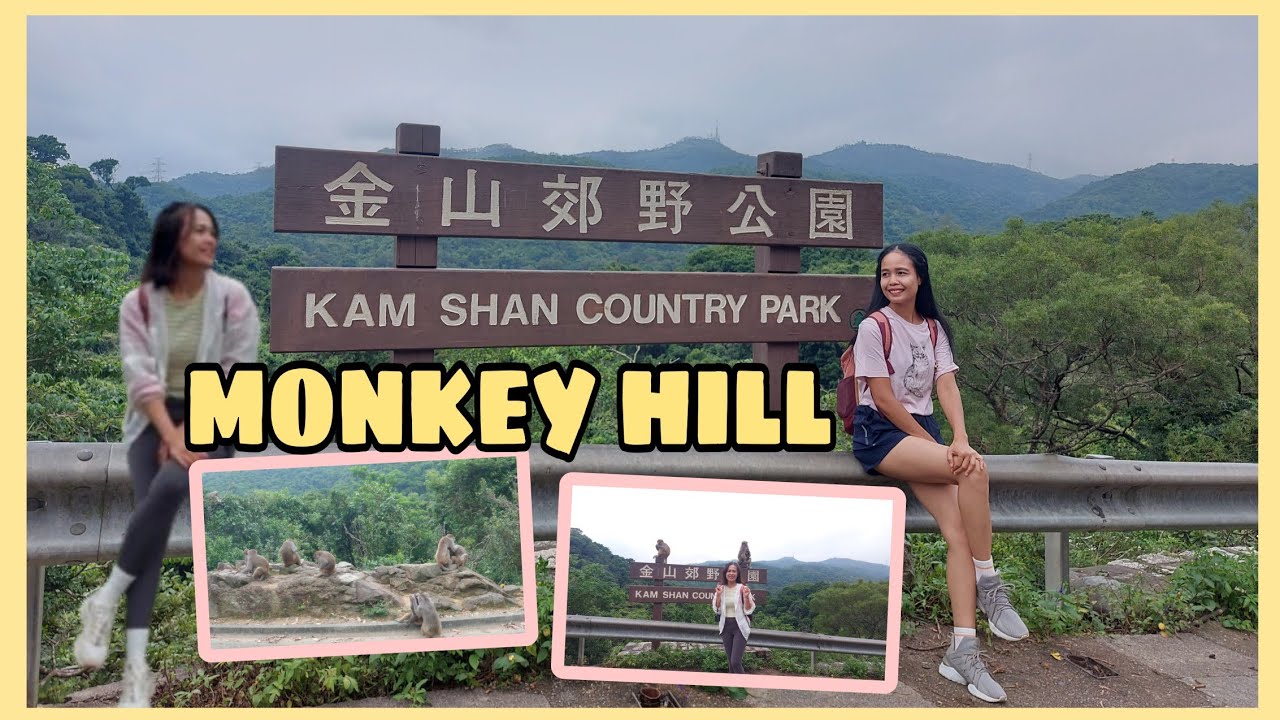 Kam Shan Country Park (MONKEY HILL) with video guide start to finish by MoonHiker Channel
