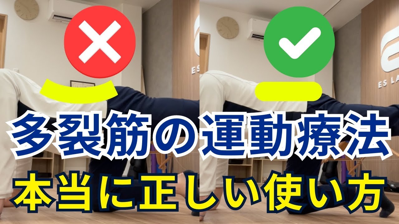 【超有料級】大多数の人が間違っている「多裂筋」の捉え方・鍛え方！本当に正しい「多裂筋」を活性化させる運動療法・セルフケアの順序を２ステップで実践！