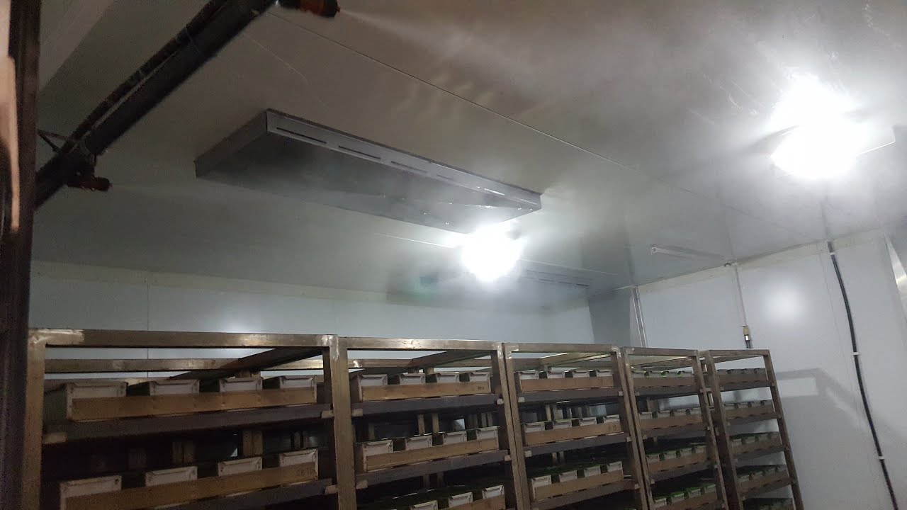 SISTEMA DE NEBULIZACIÓN PARA EL CONTROL DE HUMEDAD EN CÁMARA DE FERMENTACIÓN DE PAN Y BOLLERÍA