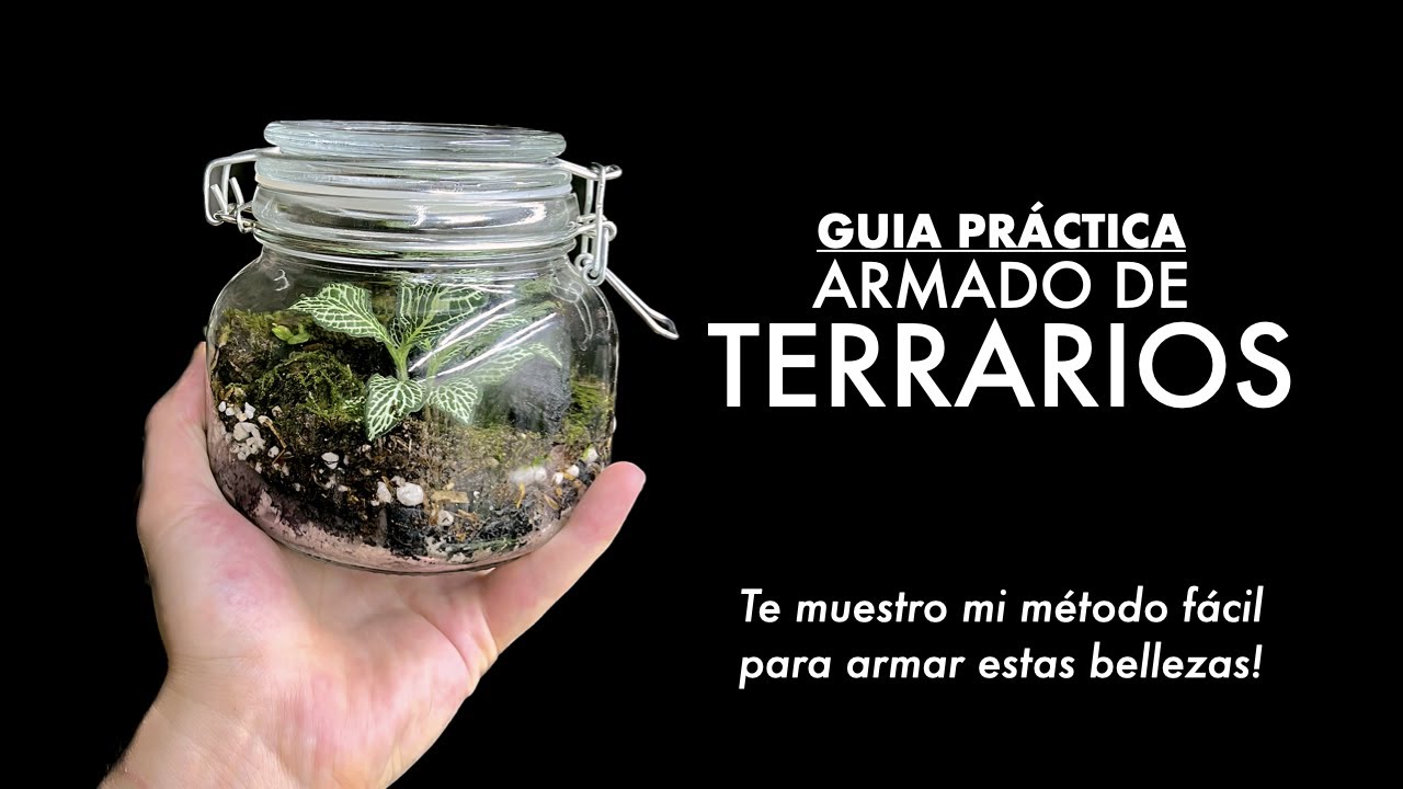 🌱 Armado de Terrarios 🫙 Te cuento mi método para crear mini ecosistemas en frascos SÚPER FÁCIL! 🙌🏻