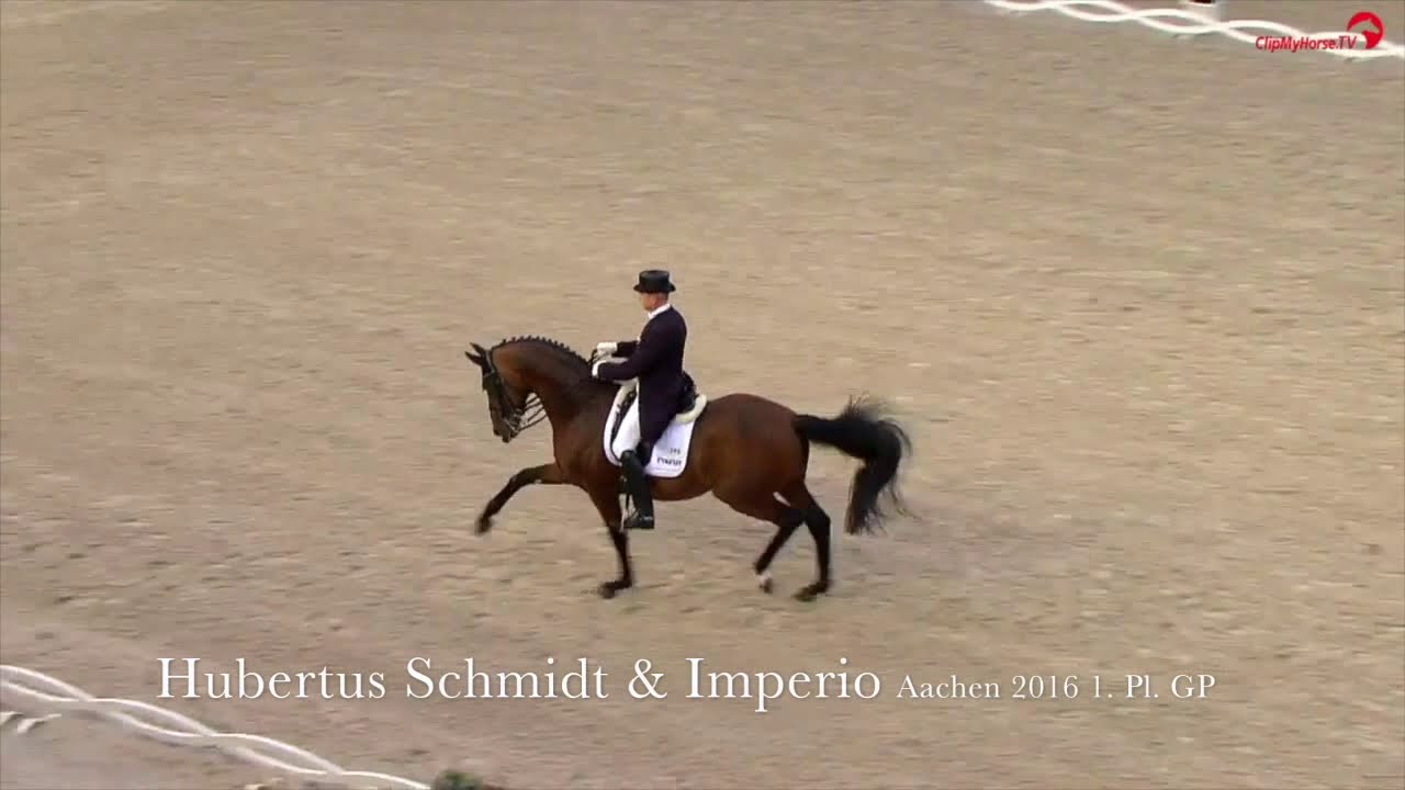 Haupt- und Landgestüt Schwaiganger - Imperio