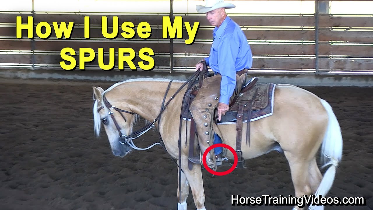 How I Use My Spurs When Training A Reining Or Cutting Horse - Horse Training 101