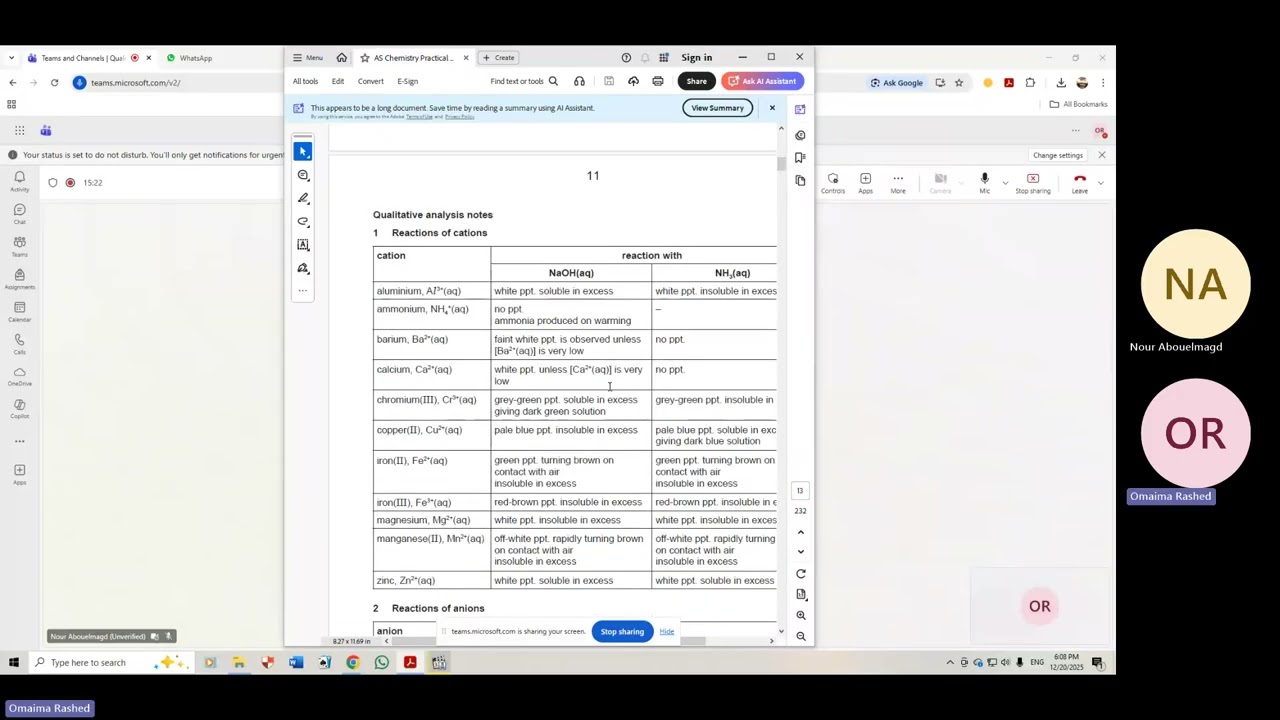 Qualitative analysis 20251220 180132 Meeting Recording