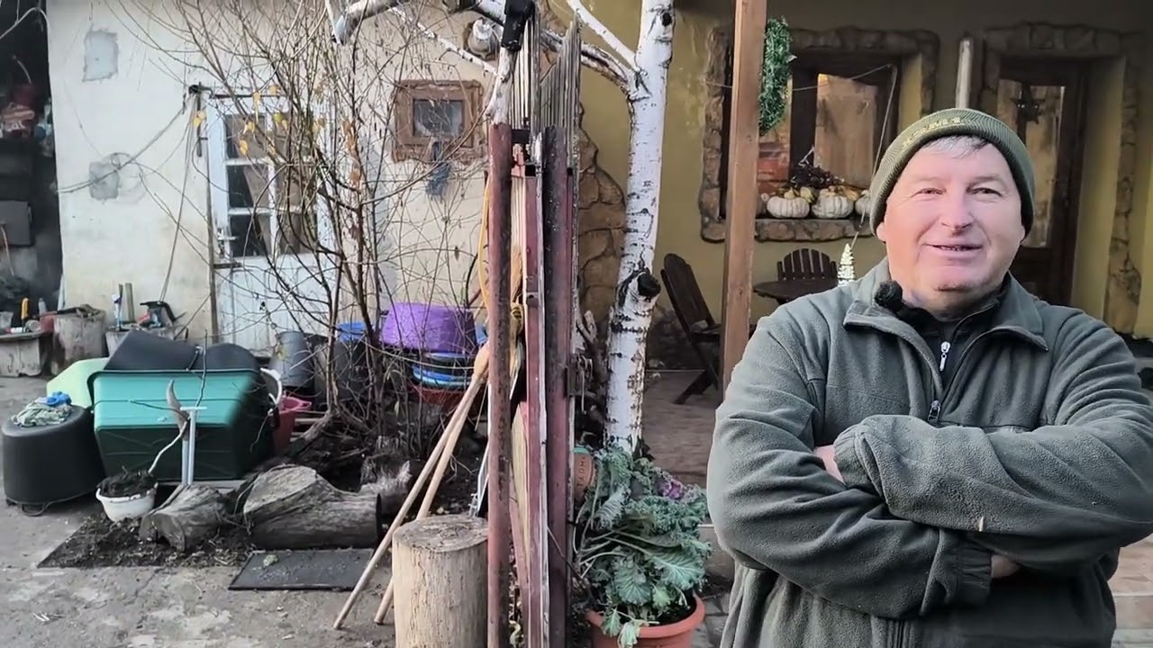 Muskotályos jó bevált fajták Valek,Taina Monaha,Nelszon +Olasz megmentett csemeték 🍇💯