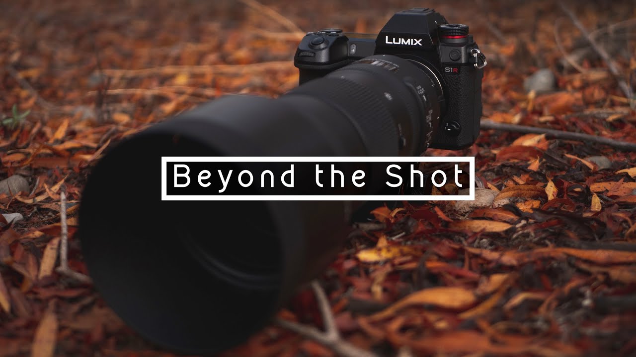 Panasonic S1R Wildlife/Bird Photography Quick Review | BEYOND THE SHOT