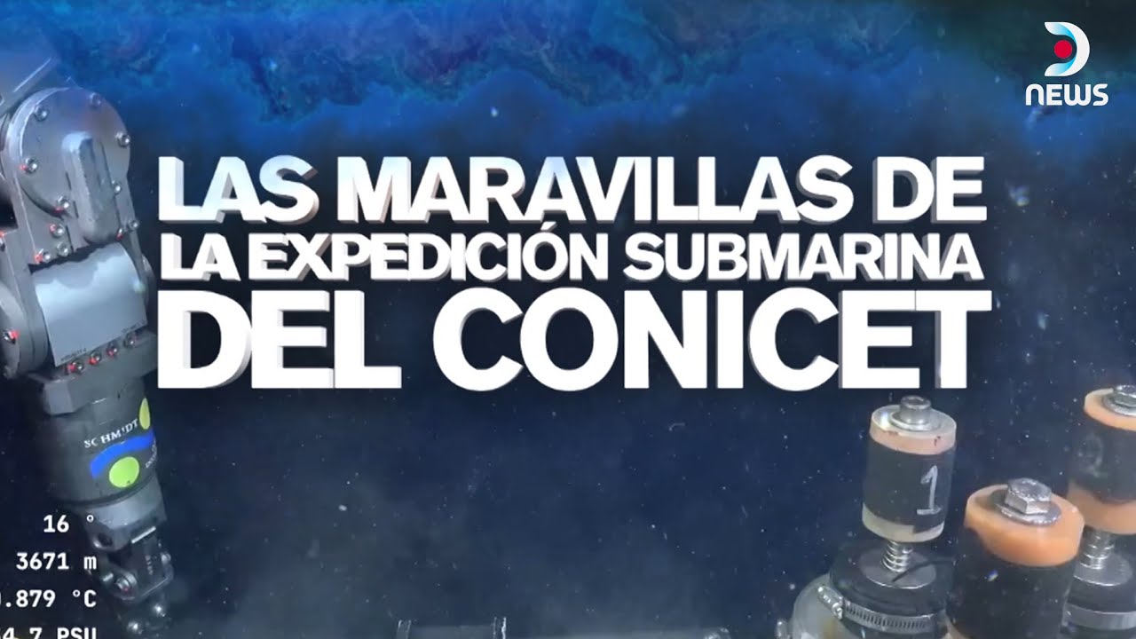 Lo mejor de la expedición del CONICET | Informe de DNews