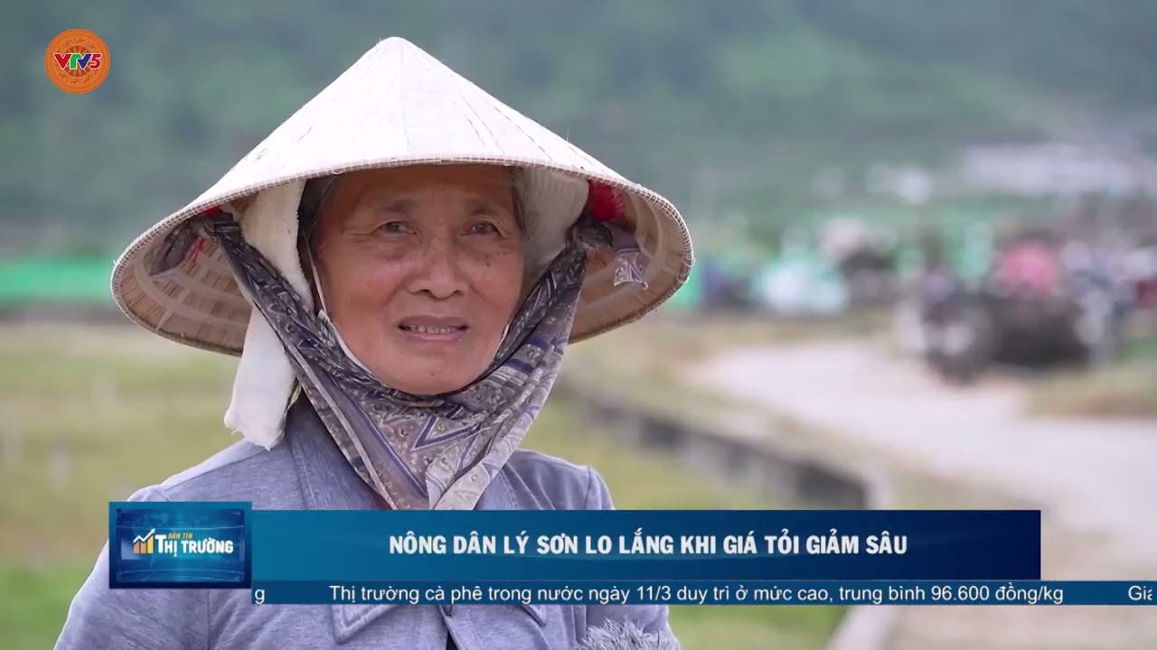 NÔNG DÂN LÝ SƠN LO LẮNG KHI GIÁ TỎI GIẢM SÂU | VTV5